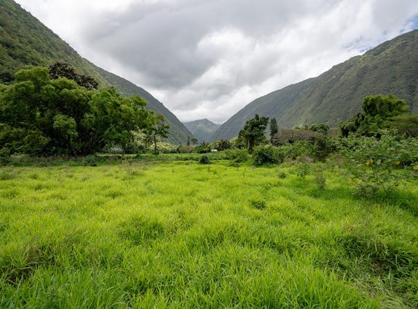 WAIPIO VALLEY RD, Honokaa, HI 96727