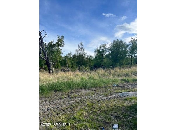L4 B7 E Blue Atlas Circle, Palmer, AK 99645