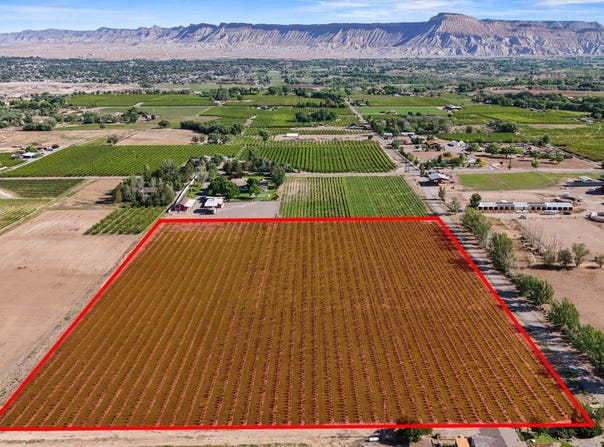 3343 C Road, Palisade, CO 81526