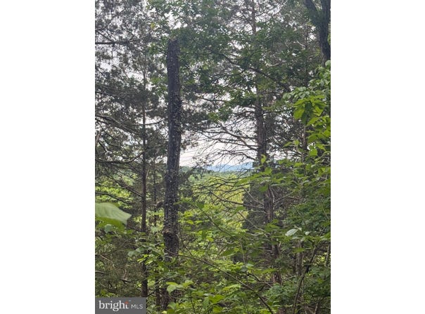 RIVER RIDGE DRIVE, MIDDLETOWN, VA 22645
