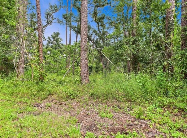 N VETERANS Drive, Perry, FL 32348