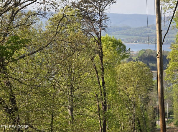 Tr-4 BOATMANS MOUNTAIN-25.54ac, Morristown, TN 37814