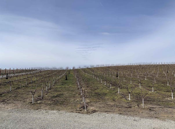 630 Moore Rd, Pasco, WA 99301