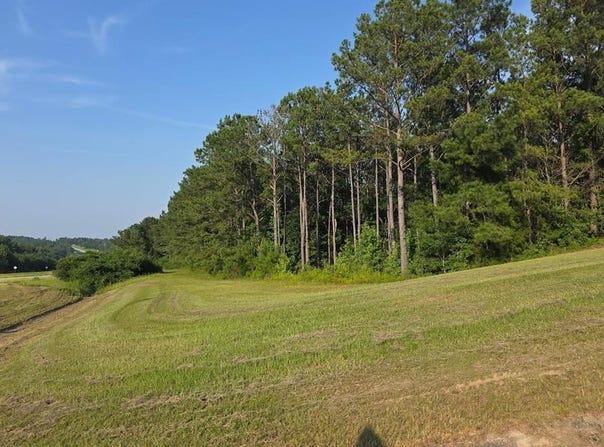 4451 Hwy 431 S, Eufaula, AL 36027