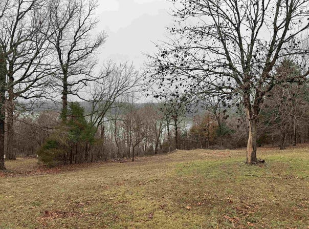 20725 Horseshoe Bend RD, Lead Hill, AR 72668