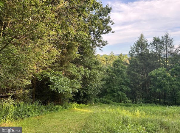 TADPOLE ROAD, PENNSYLVANIA FURNACE, PA 16865