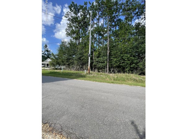 E Riverline Drive, Saucier, MS 39574