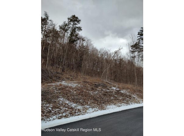 Tbd Barrus, Coxsackie, NY 12051