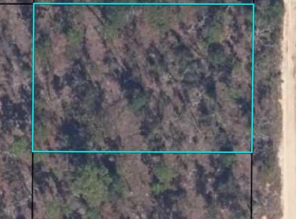 7248 Citadel St, Keystone Heights, FL 32656