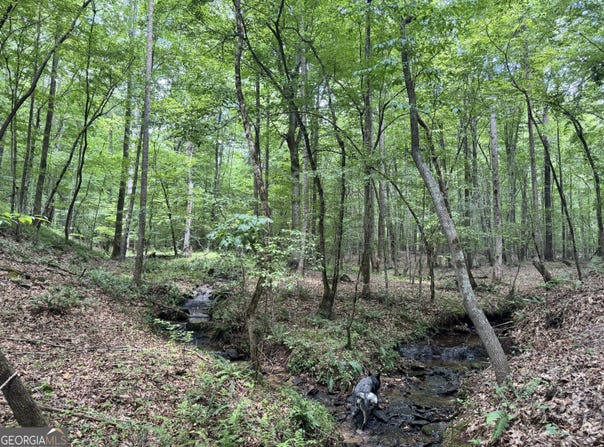 140+/- AC Hwy 100, Franklin, GA 30217
