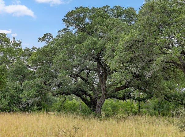 TBD Jurecka Road, Fayetteville, TX 78940