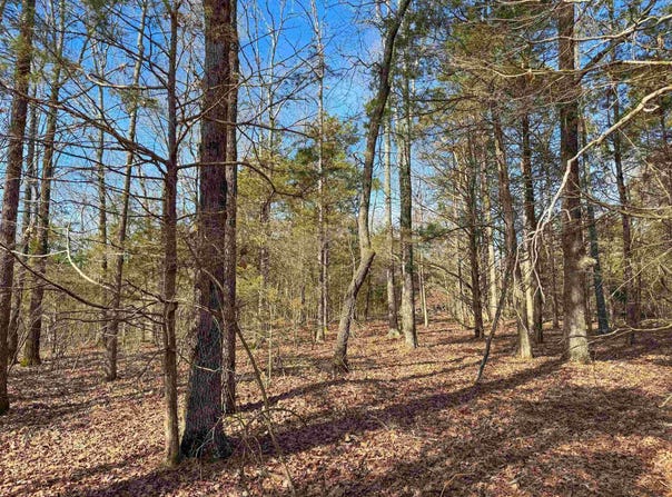 181 Old Springfield Road, Quitman, AR 72131