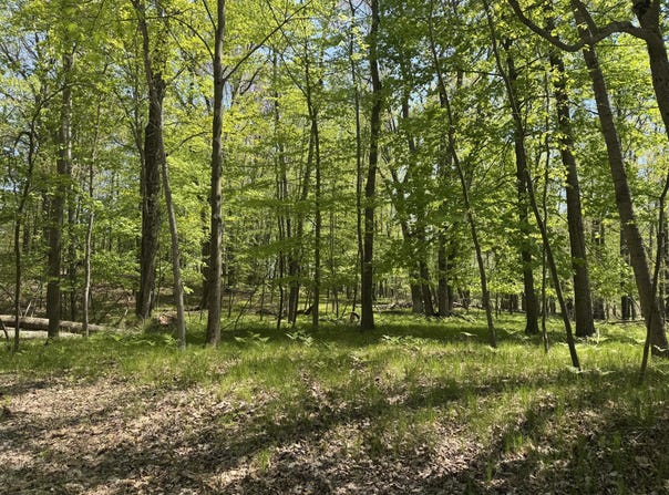 9236 Lost Canyon Court, Canadian Lakes, MI 49346
