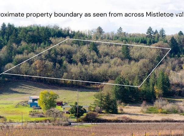 Mistletoe Dr, Dallas, OR 97338