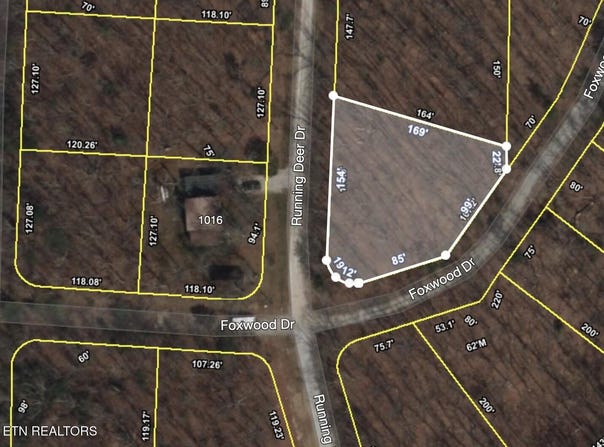 Running Deer, Crab Orchard, TN 37723