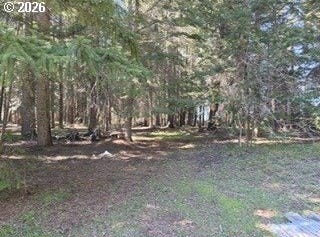 1251 CANYON Rd, Appleton, WA 98602
