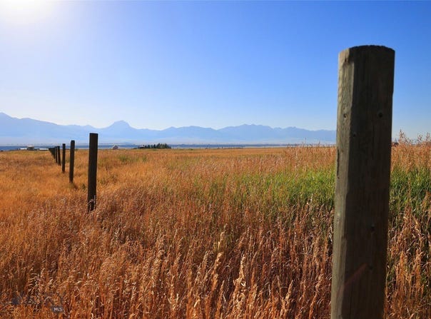 Hayfield Loop Trail/Lonesome Trail, Ennis, MT 59729