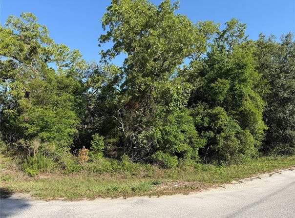 Tbd SE 154TH STREET, SUMMERFIELD, FL 34491