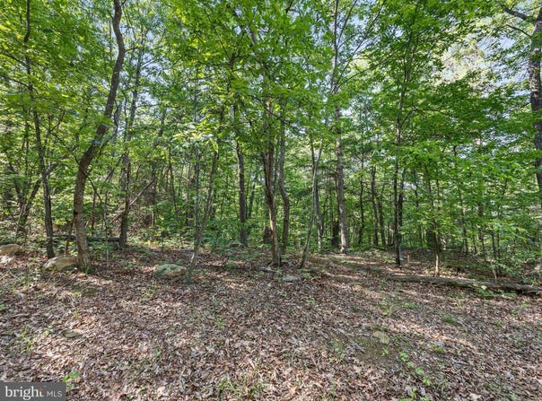 MOUNTAIN LAUREL DR, MOUNT JACKSON, VA 22842