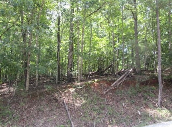 Lot 74 Bramlett Drive, Elberton, GA 30635