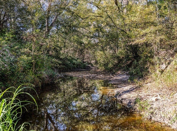 Tract 8 Fieldcrest Ln, Burton, TX 77835