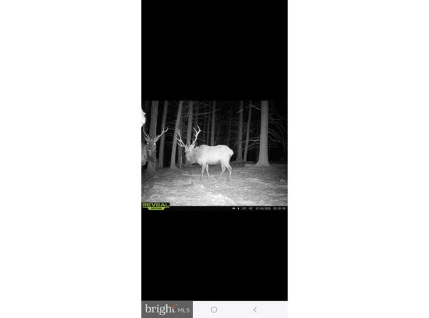 000 SANDY CREEK RD, FRENCHVILLE, PA 16836