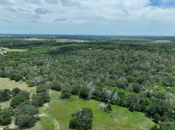 TBD Farm To Market 3233, La Grange, TX 78945