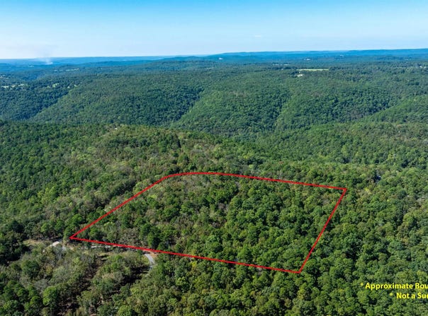 Porter Road, Shirley, AR 72153
