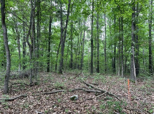 Tract X on Meadow Creek  DR, Harrison, AR 72601
