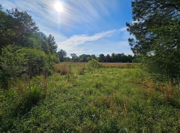 720 Mudline Road, Eagletown, OK 74734