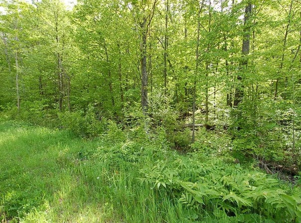 3882 S 5 1/2 Road, Harrietta, MI 49638