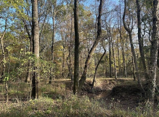 Tbd COUNTY ROAD 1412, Bogata, TX 75416