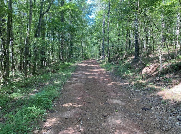 0 Poe Bridge Road, Goodwater, AL 35072