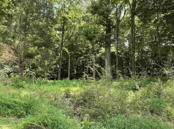 425 Rich Circle, Cadiz, KY 42211