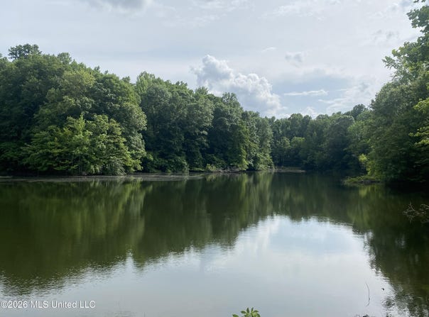5317 Highway 3, Sarah, MS 38665
