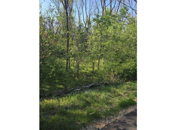 Archbold Ave NE, Roanoke, VA 24012
