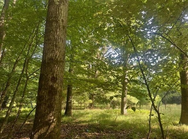 Neiltown Road, Pleasantville, PA 16341