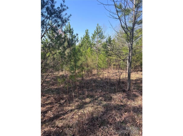 Cross Creek Drive unit: 277, Rutherfordton, NC 28139