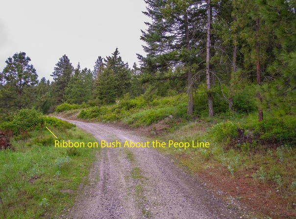 2420 CEDONIA ADDY RD, ADDY, WA 99101