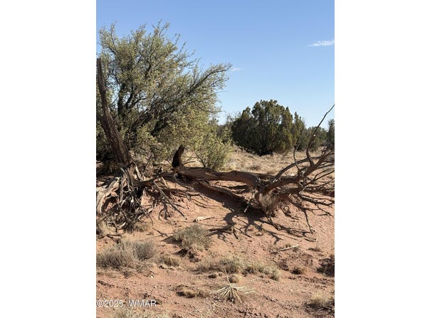 8580b Lawson Lane, Snowflake, AZ 85937