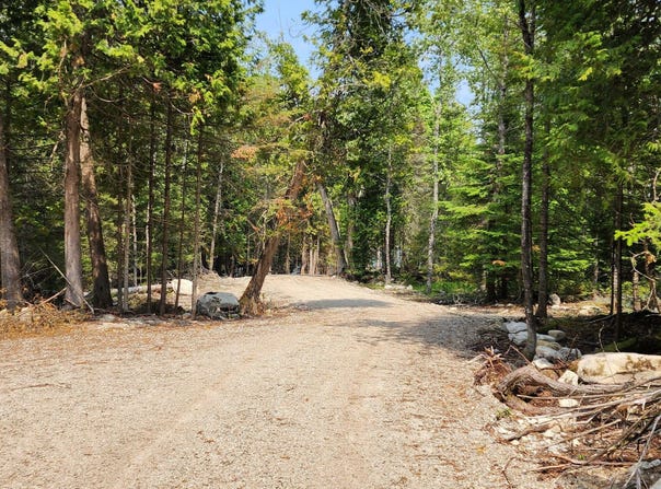 1953 S FOREST LN, CEDARVILLE, MI 49719