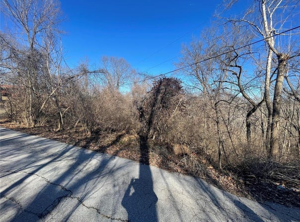 3333 Ketha Circle, Festus, MO 63028