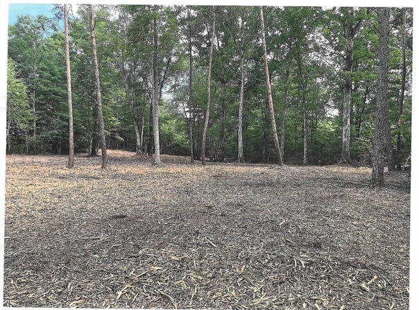 0 Warrick Barn Road, Amherst, VA 24521