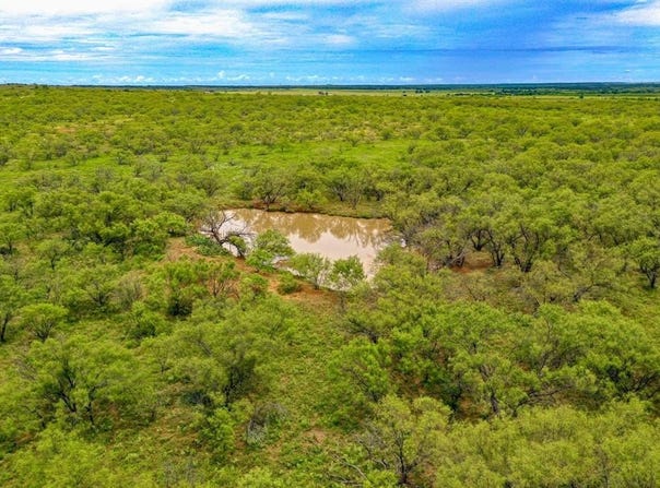 Tbd FM 175, Jacksboro, TX 76458