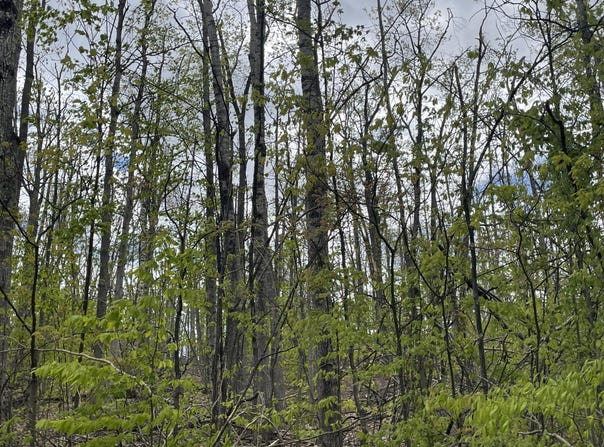 990-994 Arawak Pass, Gaylord, MI 49735