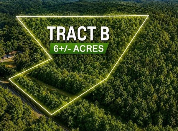 TBD TRACT B Bellview Road, Robbins, NC 27325