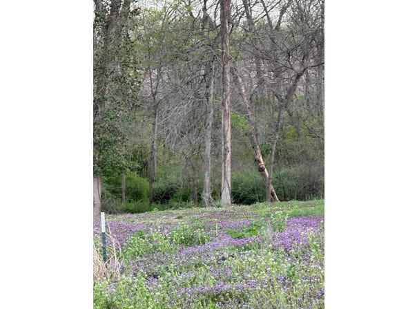 27998 210th RD, Marshall, MO 65340