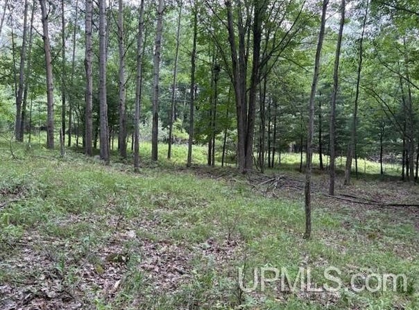 TBD E H, Iron Mountain, MI 49801
