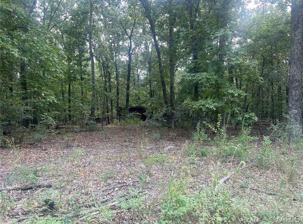 00 Wayne 505, Greenville, MO 63944