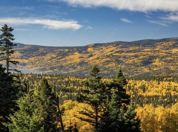 1 The Ranch at Angel Fire, Angel Fire, NM 87710